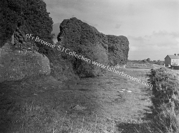 BALLINTUBBER CASTLE (O'CONNOR DON) FROM S.E.